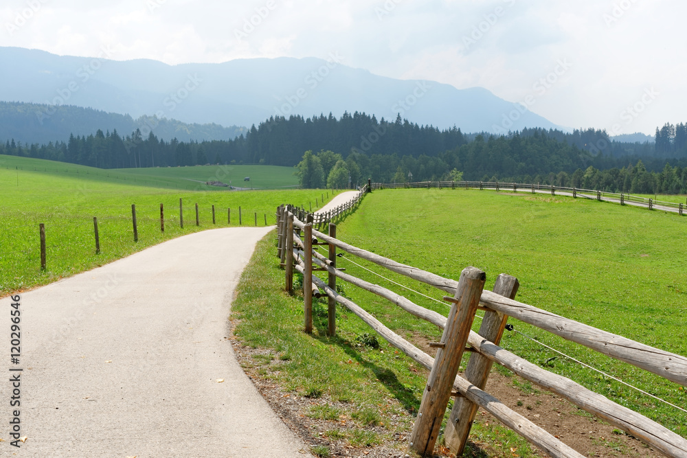 Narrow road passing through a green field in the Bavarian Alps, Germany. Narrow road passing through a green field in the Bavarian Alps, Germany.