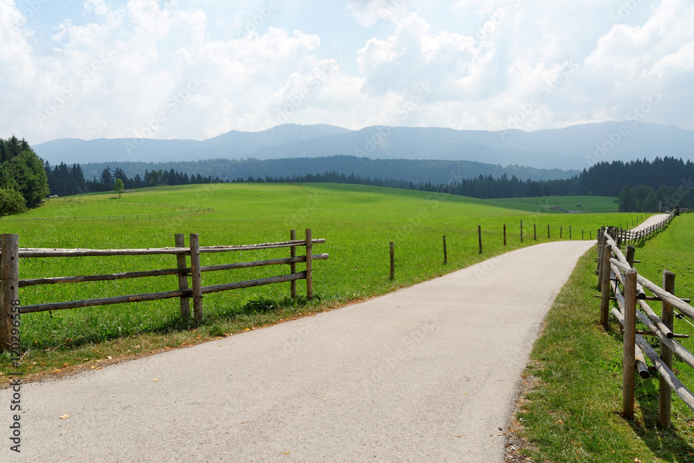 Narrow road passing through a green field in the Bavarian Alps, Germany.