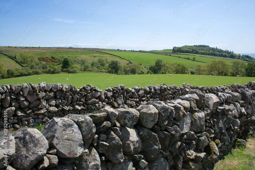 Rural Countryside View, Dry Stone Wall and Rolling Green Hills - in Dumfries and Galloway, Scotland. Taken on a sunny day in May.