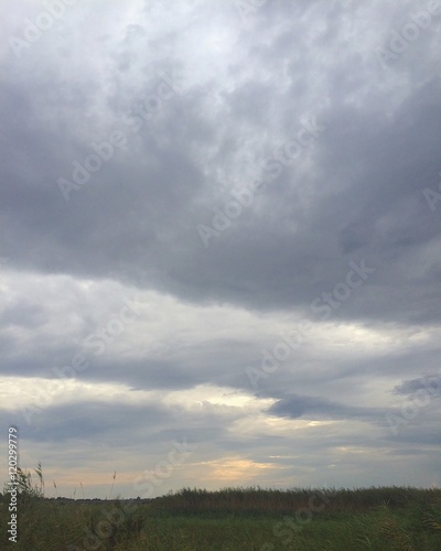 cielo
