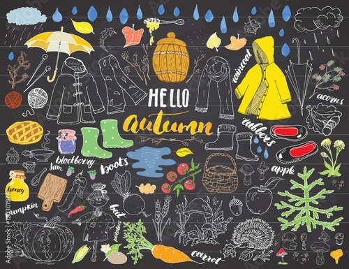 Autumn season set. Hand drawn doodles and lettering vector illustration.