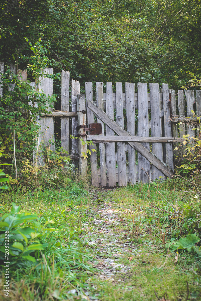 Naklejka premium trail to the abandoned garden
