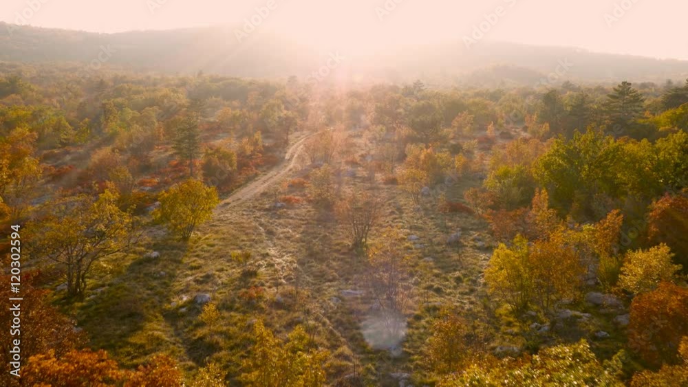Flying above wasteland road and landscape on sunset in autumn
Flying above wasteland road and landscape on sunset in autumn