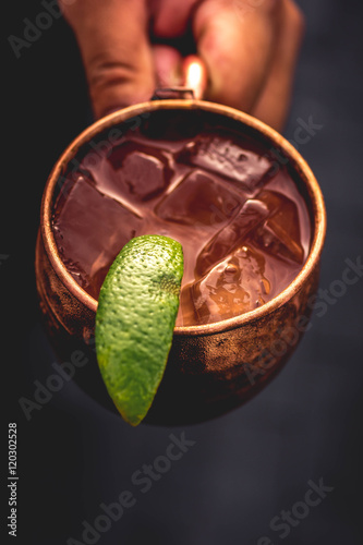 Canvas Print Ice Cold Moscow Mule