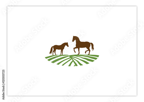 Farm and Ranch of Horse in Field