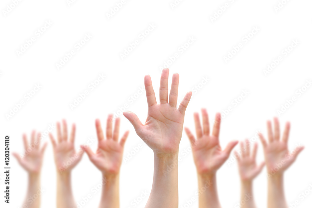 Many people blur hands raising up upward on white background showing vote, volunteering, participation concept/ campaign Many people blur hands raising up upward on white background showing vote, volunteering, participation concept/ campaign