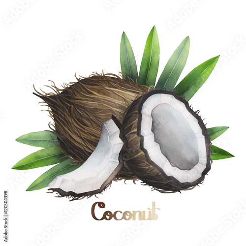 Watercolor coconut design