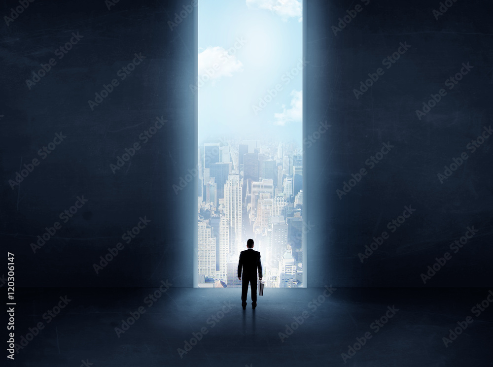 Obraz premium businessman in front of the huge gate