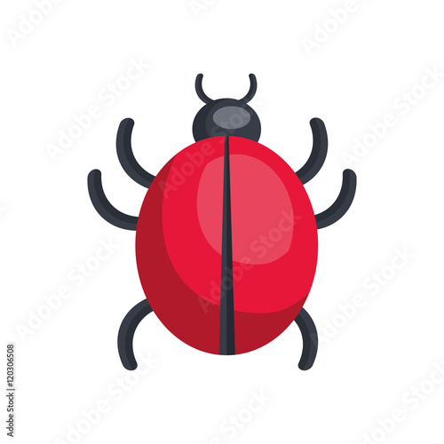 red and black ladybug beetle insect. vector illustration