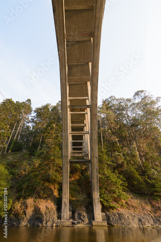 HWY 1 bridge over head photo