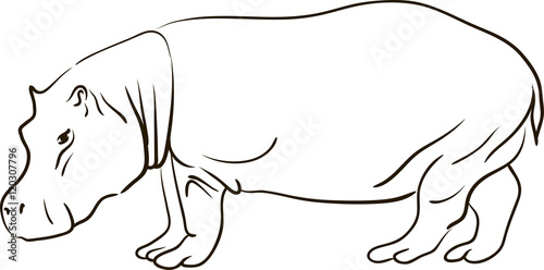 Hand drawn line art black and white sketch of a cartoon hippopotamus on a white background