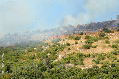 An arson attack on the mountains Prenestini of Castel San Pietro photo