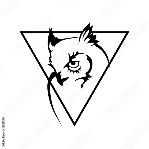 owl logo