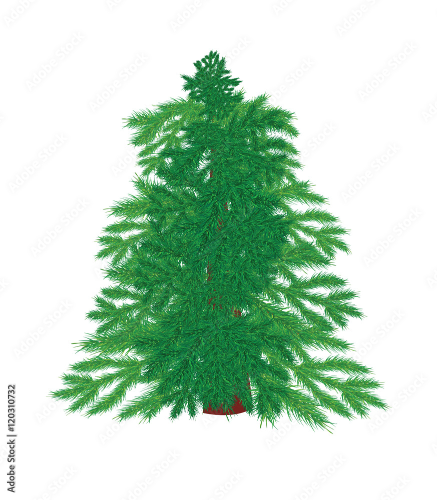 Obraz premium Christmas tree on a white background without decorations