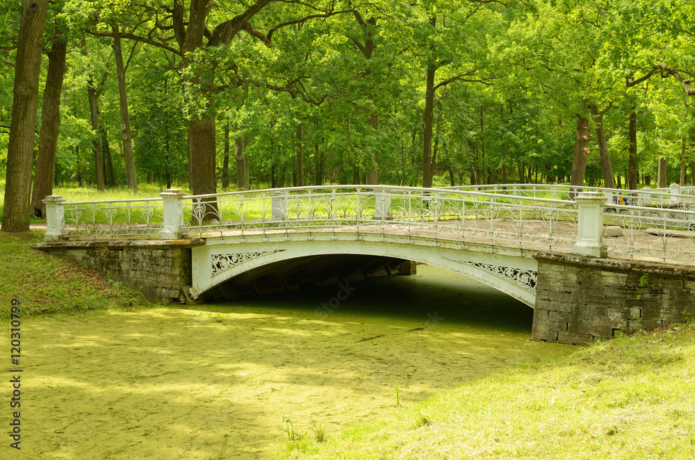 Beautiful bridge in the Park.
