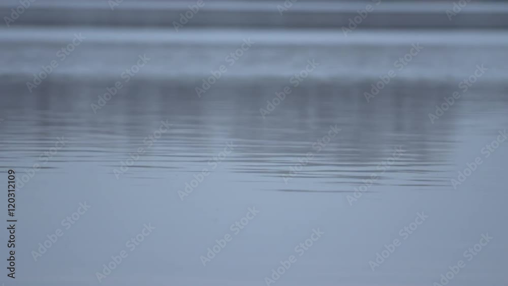 Water surface in winter with tree reflections Water surface in winter with tree reflections