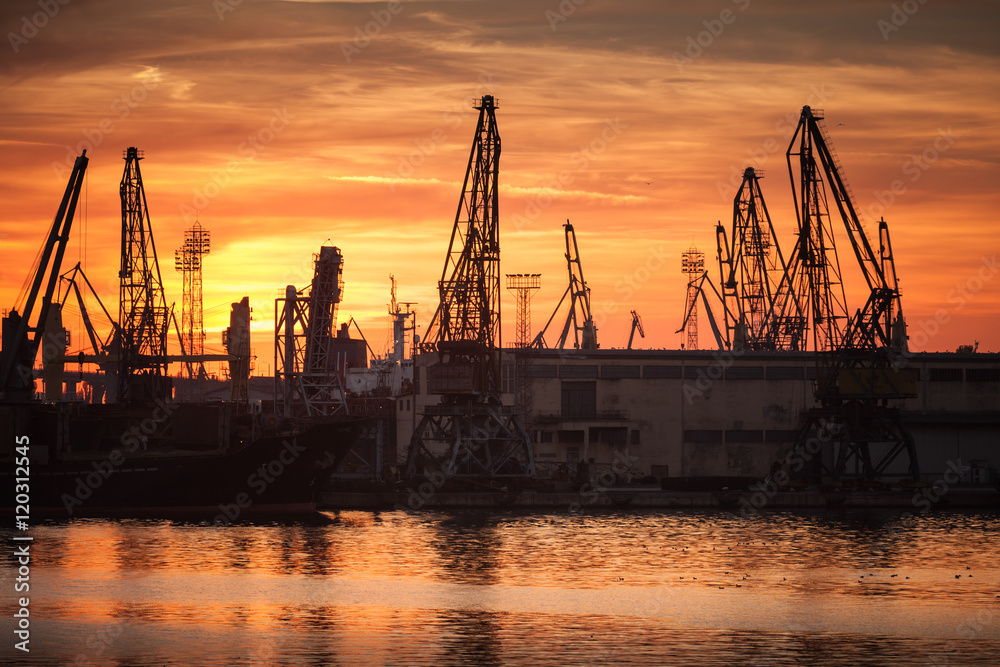 Silhouettes of cranes and industrial ships in port