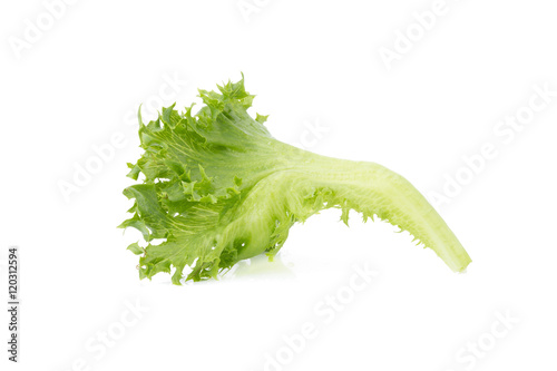 green frillies iceberg lettuce isolated on white background