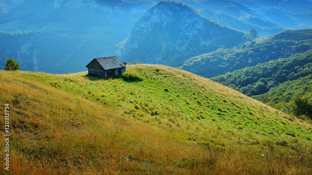 Transylvanian summer landscape