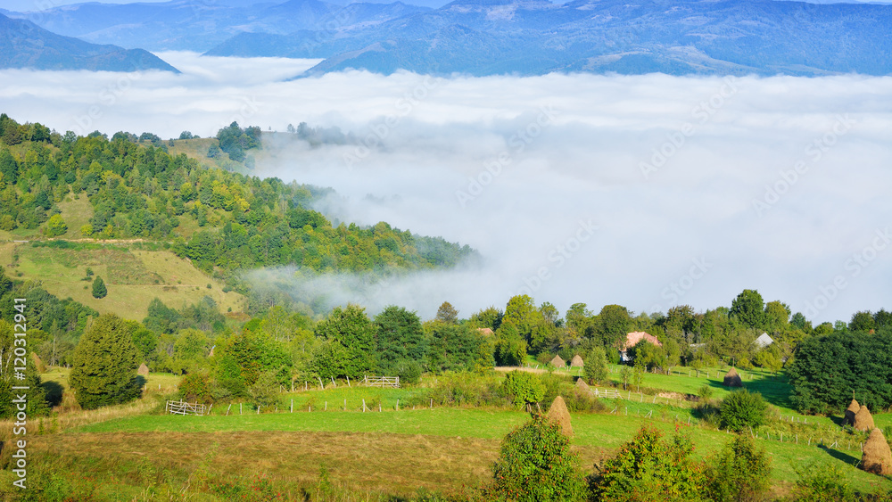 Transylvanian summer landscape