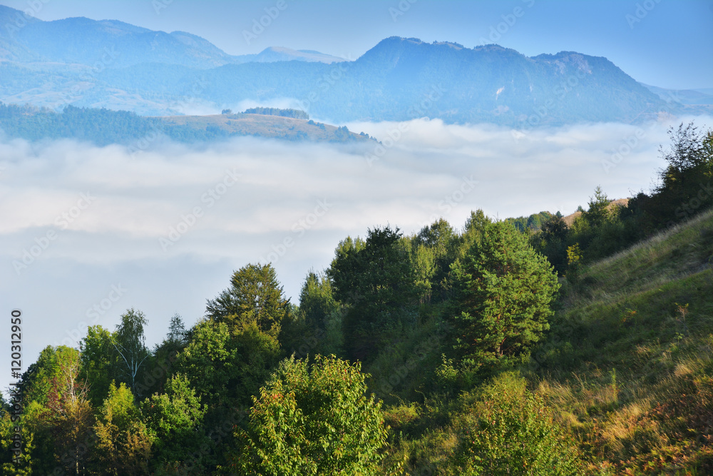 Transylvanian summer landscape