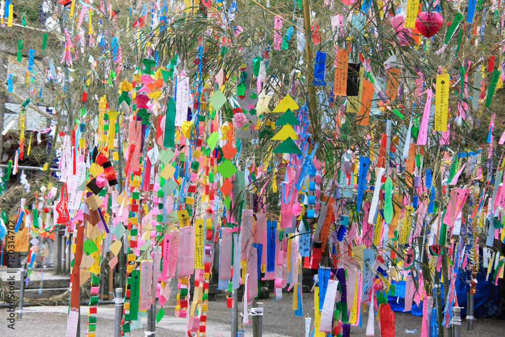 Obraz premium 七夕祭り