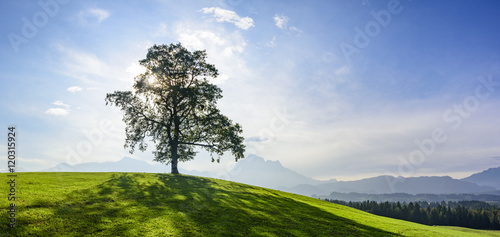 stimmungsvolle Herbstidylle im Ostallgäu photo