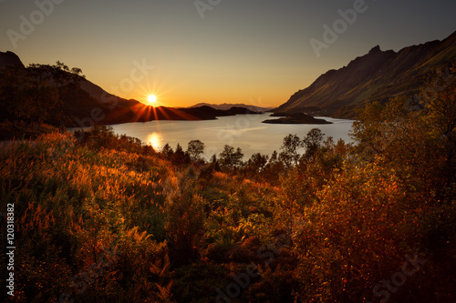 Sun setting behind fjord in Norway with vegetation in foreground