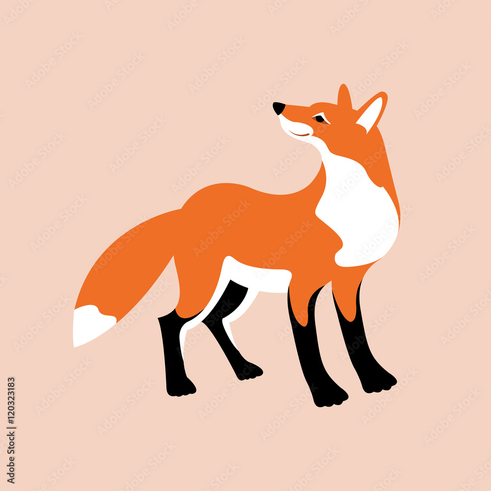Obraz premium red fox vector illustration style Flat