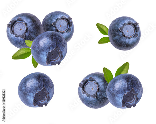 Canvas Print Fresh blueberries isolated on white