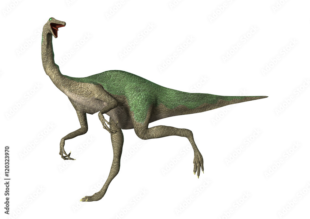 Obraz premium 3D Rendering Dinosaur Gallimimus on White