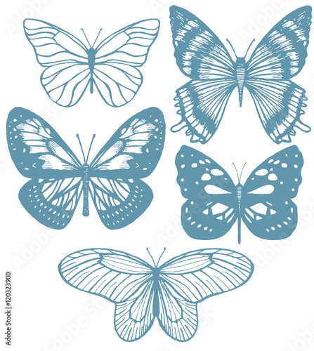 vector set of isolated hand-drawn butterflies © feirin