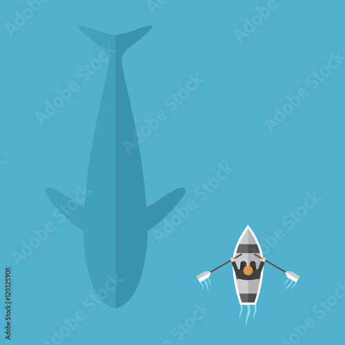 Whale swimming near boat