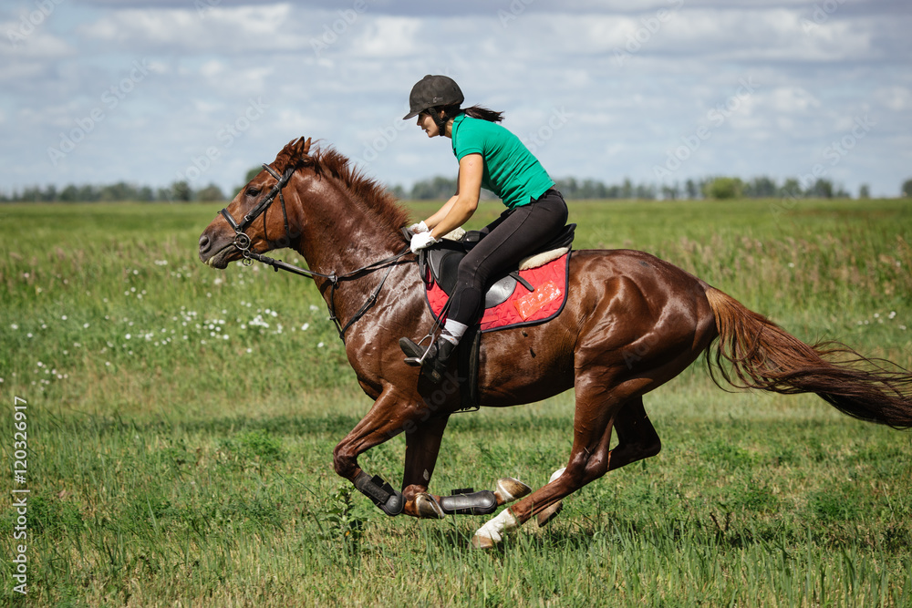 Young woman riding a horse on the green field Young woman riding a horse on the green field