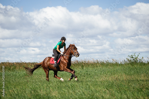 Young woman riding a horse on the green field