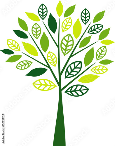  New colorful tree