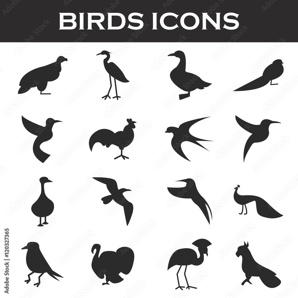Obraz premium birds icons set