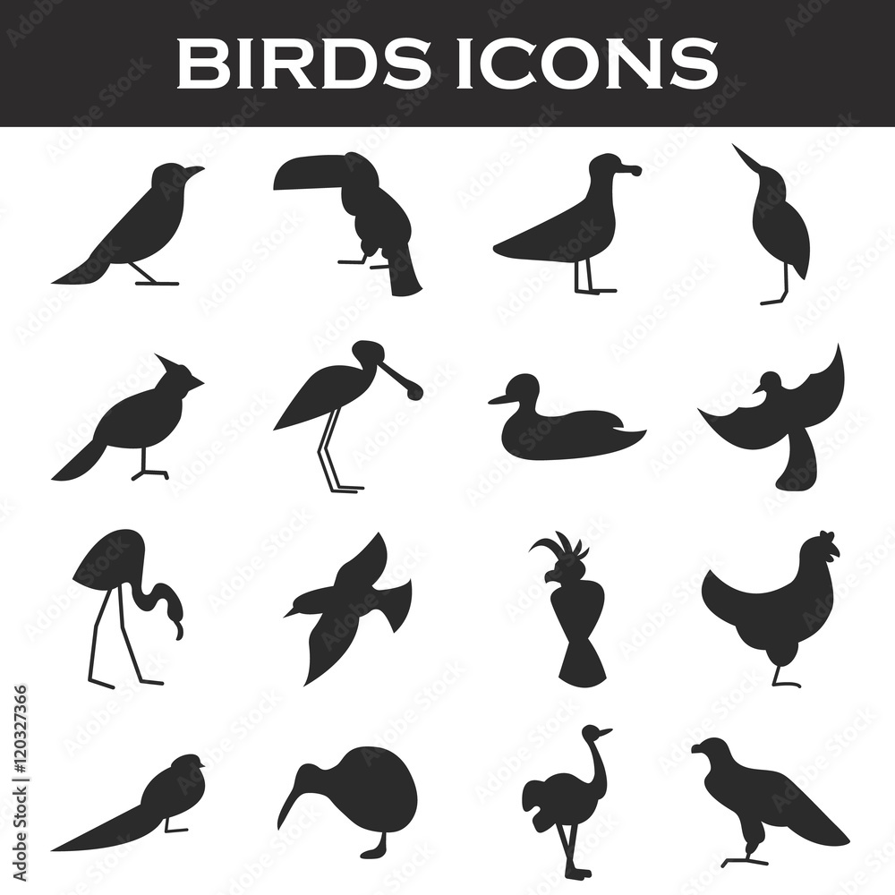 Obraz premium birds icons set
