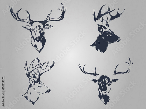 Vintage logotype wild nature