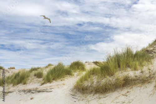 Sandstrand Ruhe am Meer 