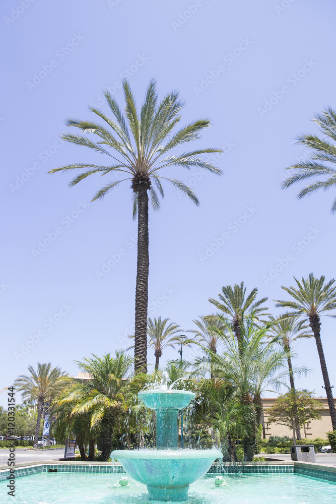 Fototapeta premium ロサンゼルス