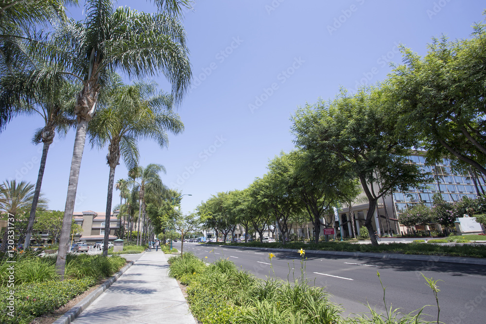 Fototapeta premium アナハイムの街並み