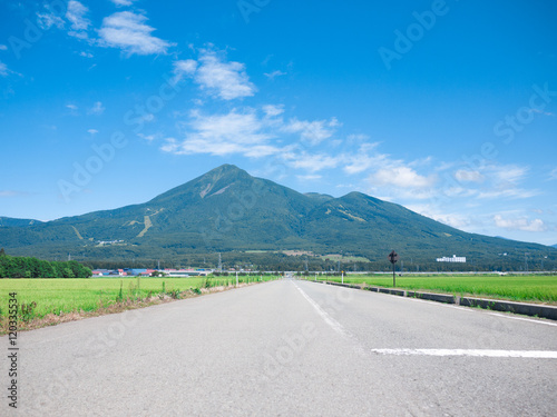 故郷の山