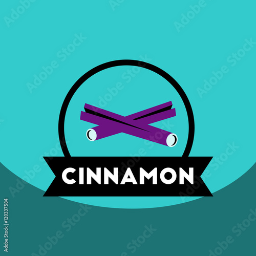 flat vector icon design collection Kitchenware seasoning cinnamon