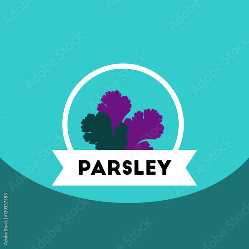 flat vector icon design collection Kitchenware seasoning parsley