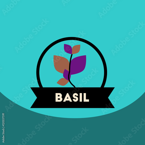 flat vector icon design collection Kitchenware seasoning basil