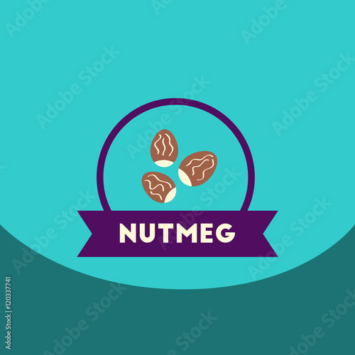 flat vector icon design collection Kitchenware seasoning nutmeg