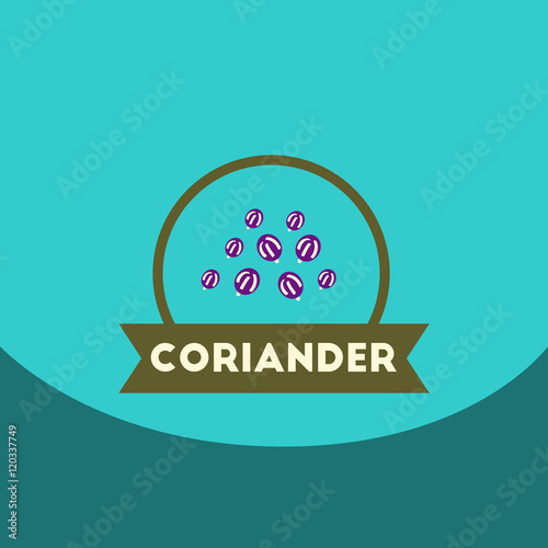 flat vector icon design collection Kitchenware seasoning coriander