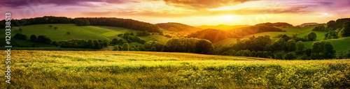 Fototapeta Kwitnąca łąka o zachodzie słońca, panorama z nastrojowymi kolorami