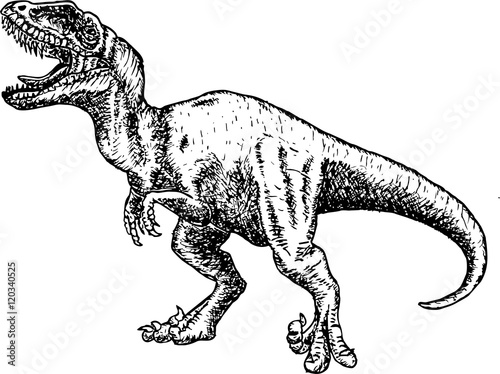 T rex Dinosaur. dinosaur drawing pencil sketch. 